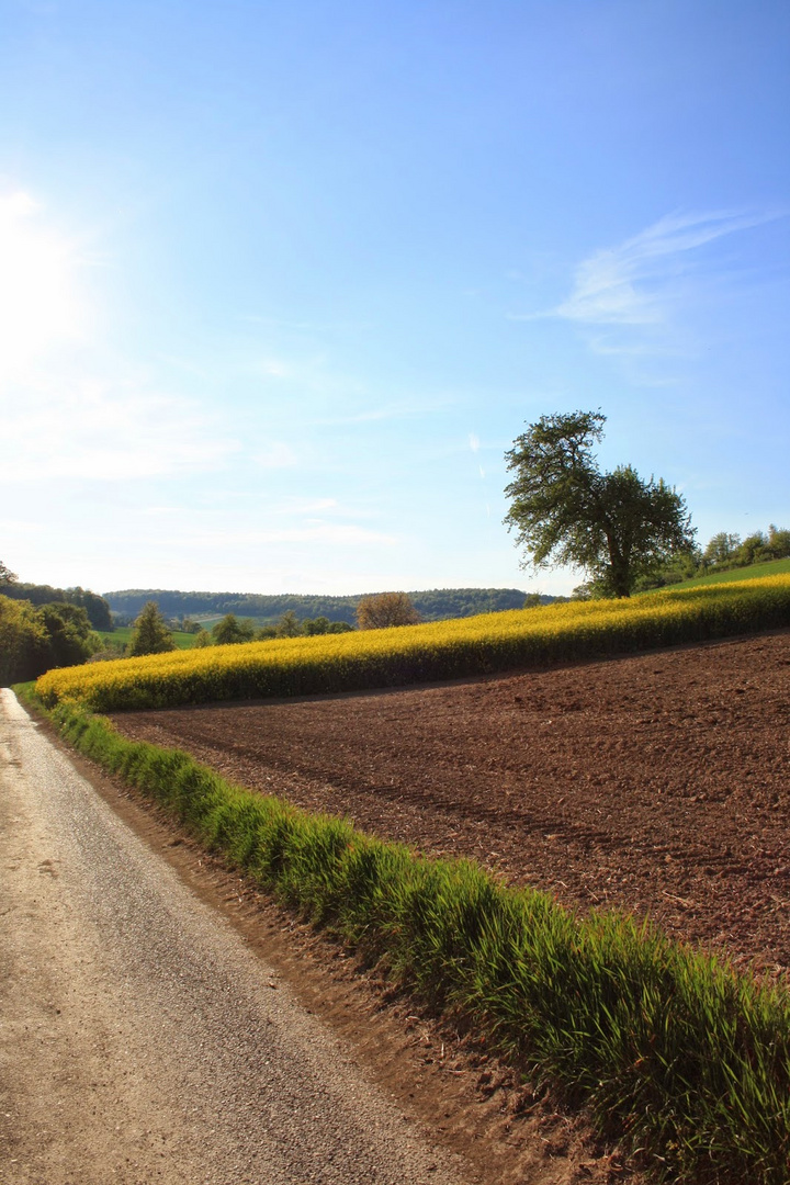 Spaziergang gefällig