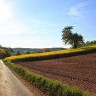 Spaziergang gefällig