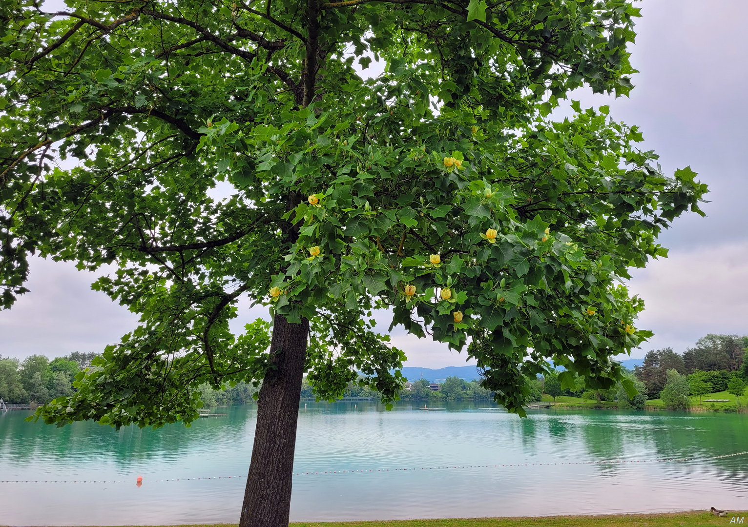 Spaziergang heute Mittag am Salemer Schlosssee...