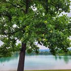 Spaziergang heute Mittag am Salemer Schlosssee...