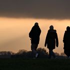 Spaziergang im Abendlicht