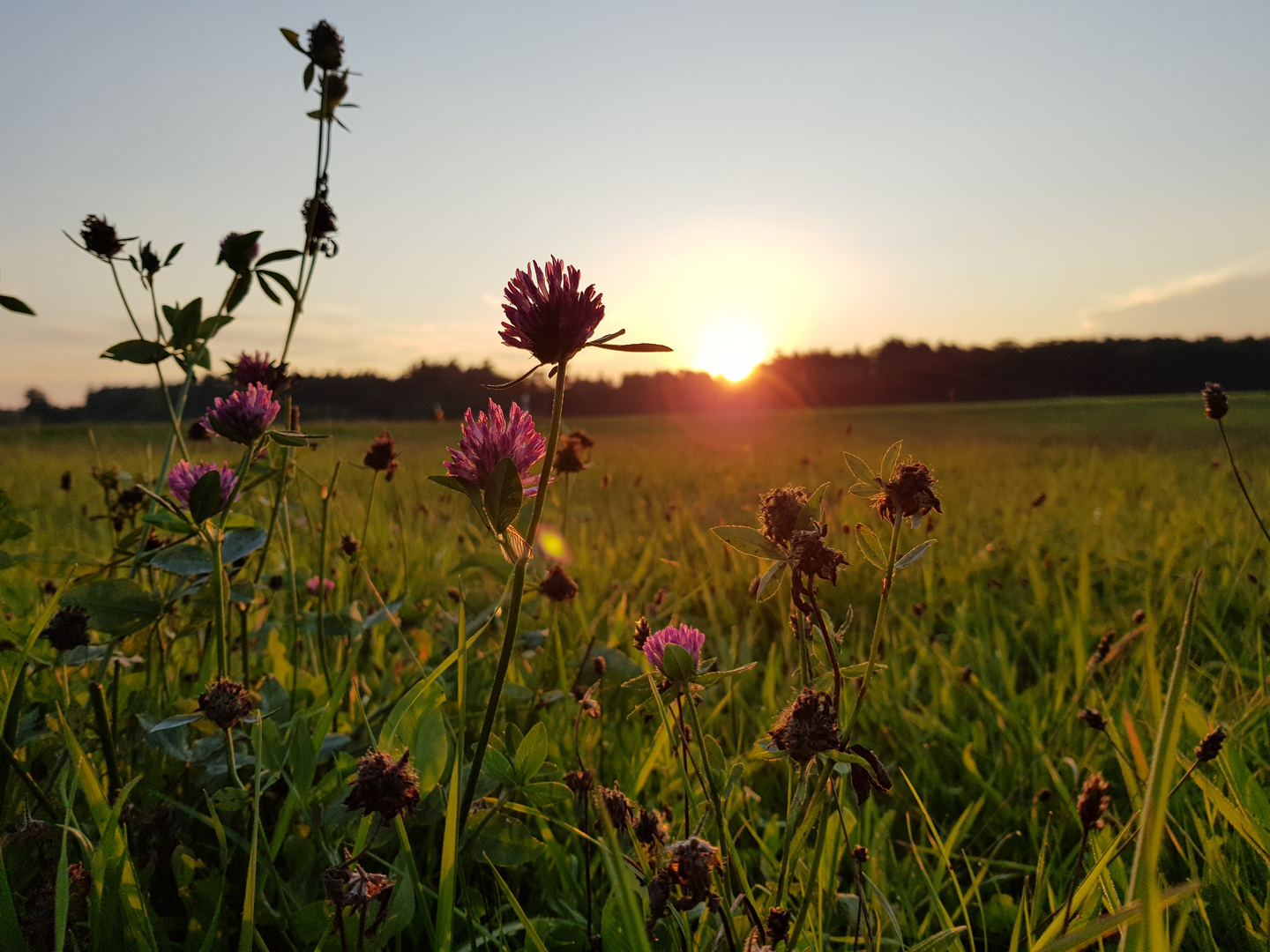 Spaziergang im Abendlicht 