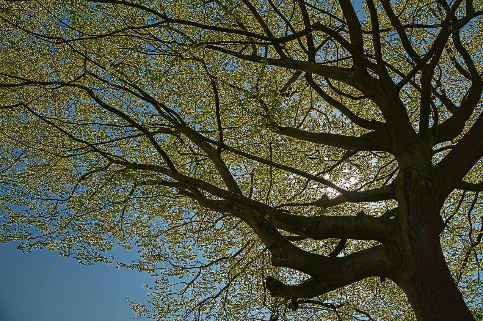 Spaziergang im April bei strahlenden Sonnenschein