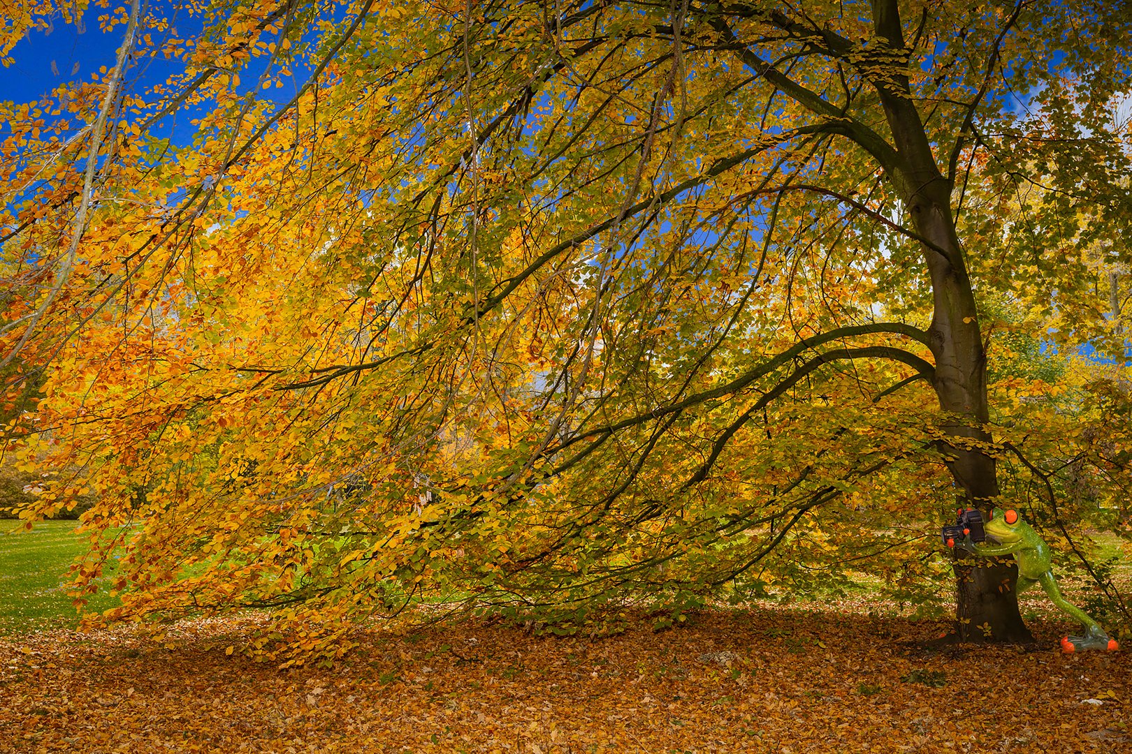 Spaziergang im Aue-Park in Kassel