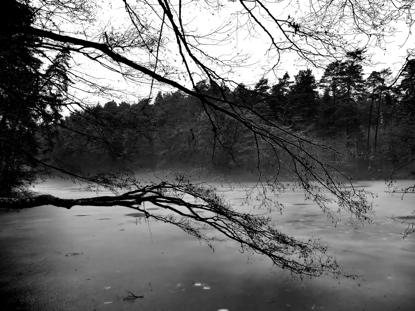 Spaziergang im Bayrischen Wald