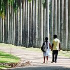 Spaziergang im Botanischen Garten