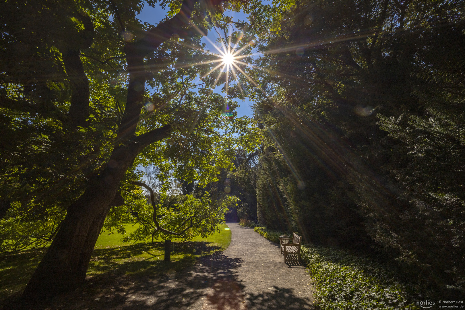 Spaziergang im Botanischen Garten