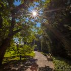 Spaziergang im Botanischen Garten