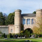 Spaziergang im Botanischen Garten