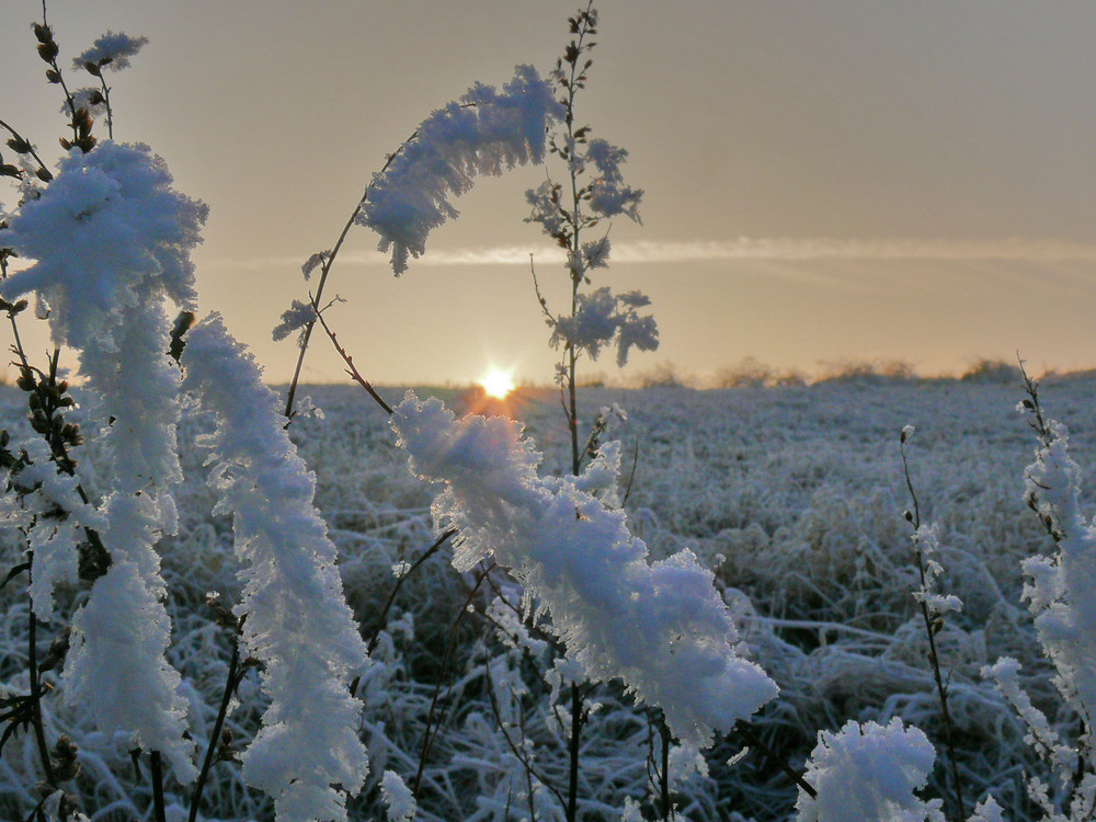 Spaziergang im Dezember