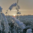 Spaziergang im Dezember