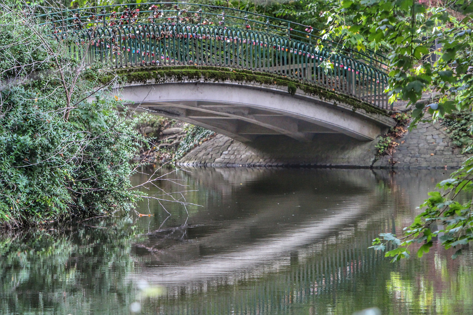 Spaziergang im Dortmunder Rombergpark 