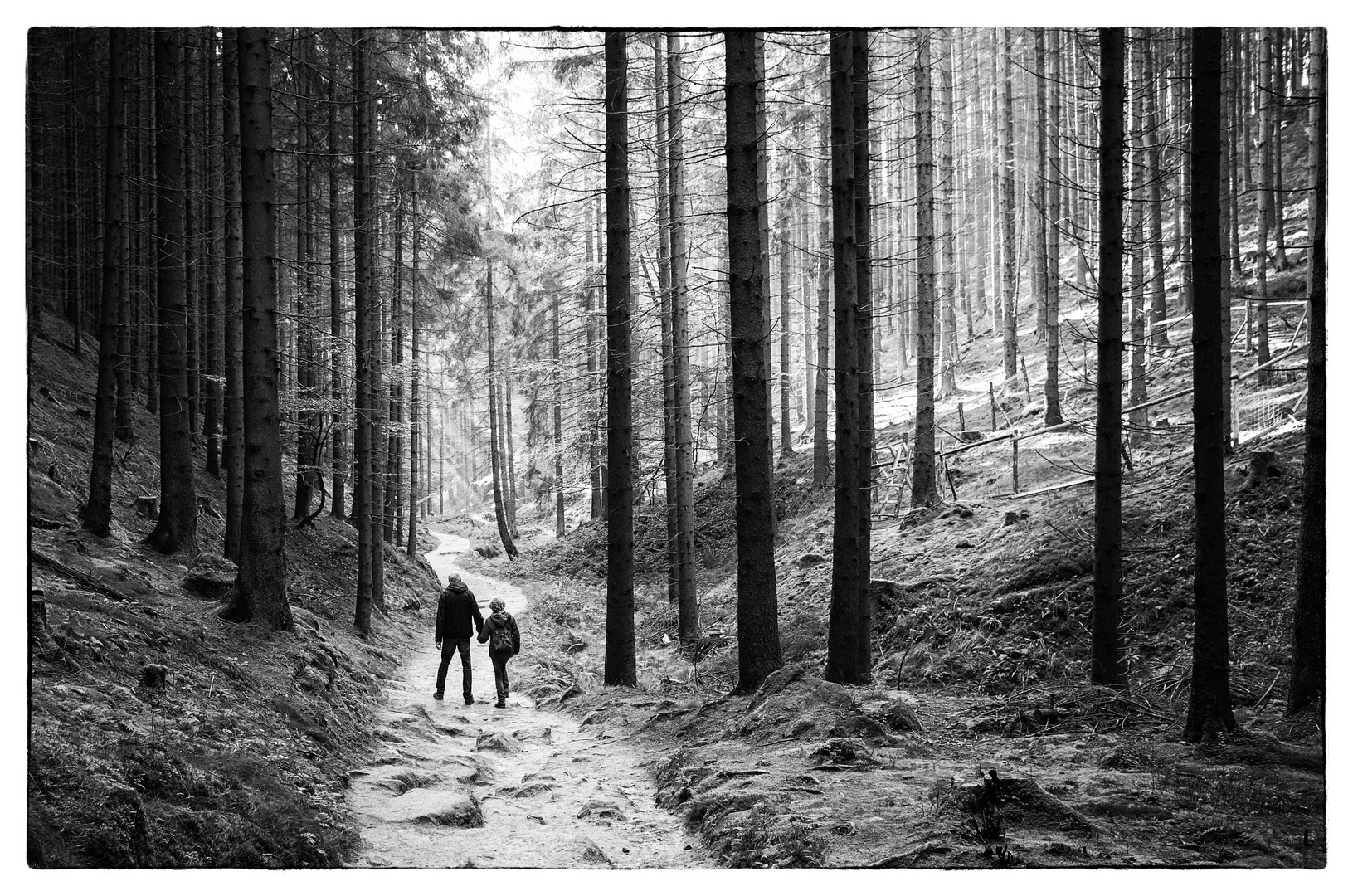 Spaziergang im Elbsandsteingebirge