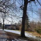 Spaziergang im Englischen Garten