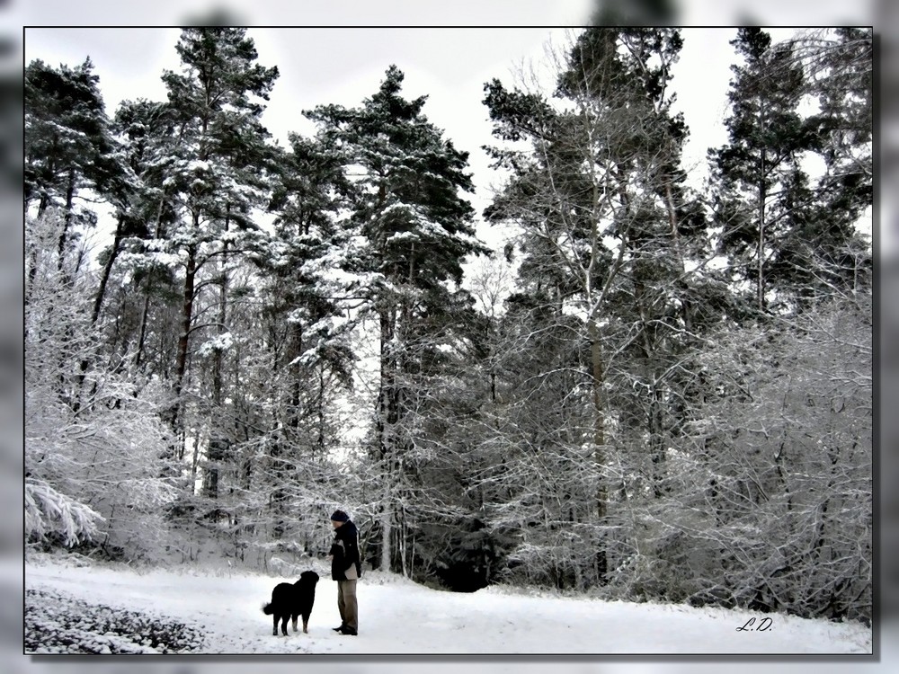 Spaziergang im ersten Schnee