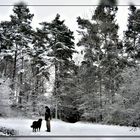 Spaziergang im ersten Schnee