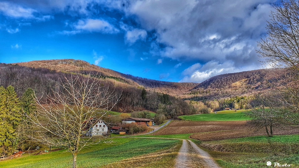 Spaziergang im Februar