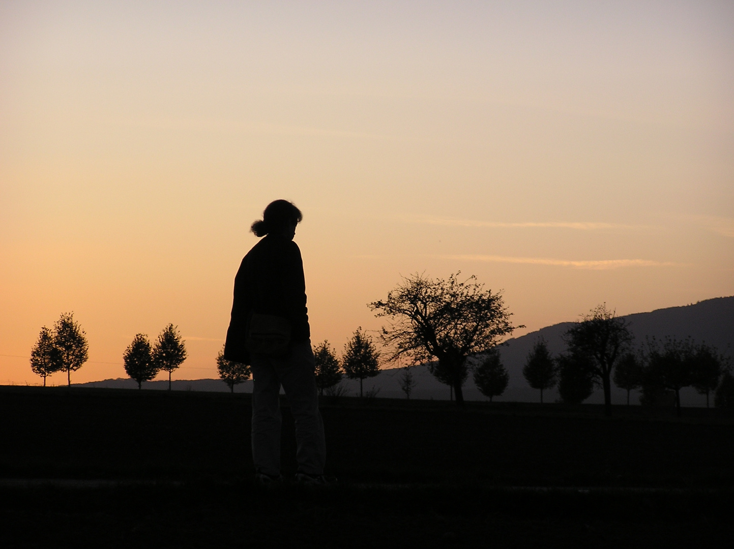 Spaziergang im Feld