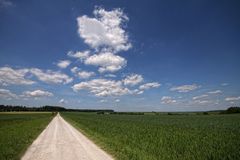 Spaziergang im Feld