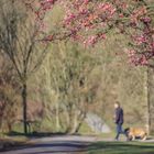 Spaziergang im Frühling