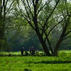 Spaziergang im Frühling