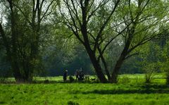 Spaziergang im Frühling