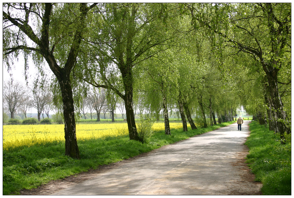 [Spaziergang im Frühling]