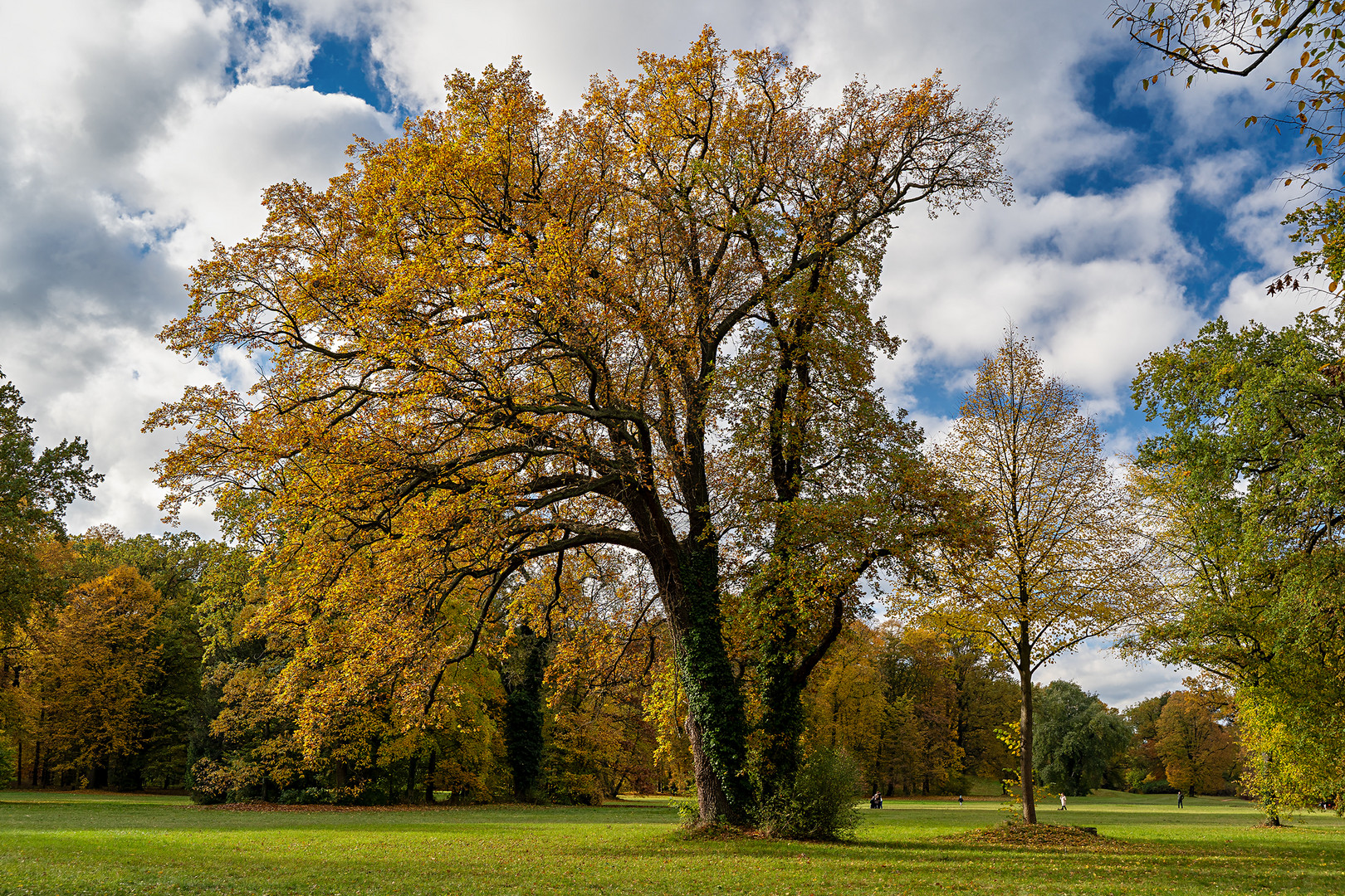 Spaziergang im Fürst-Pückler-Park Branitz