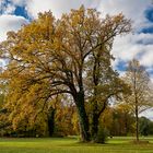 Spaziergang im Fürst-Pückler-Park Branitz