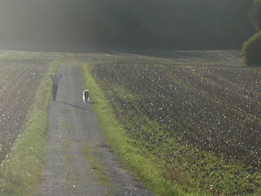 Spaziergang, im Gegenlicht später Sonne