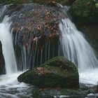 Spaziergang im Gertelsbachtal (Schwarzwald) # 1