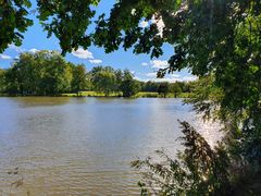 Spaziergang im Grünefelder Park