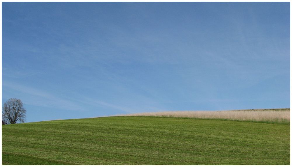 Spaziergang im Grünen