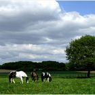 Spaziergang im Grünen