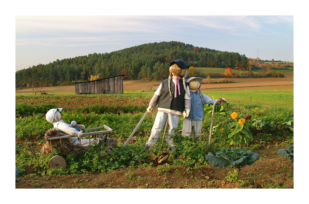 Spaziergang im Herbst