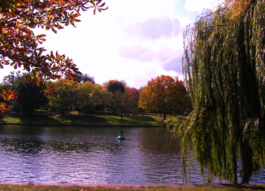 Spaziergang im Herbst 1