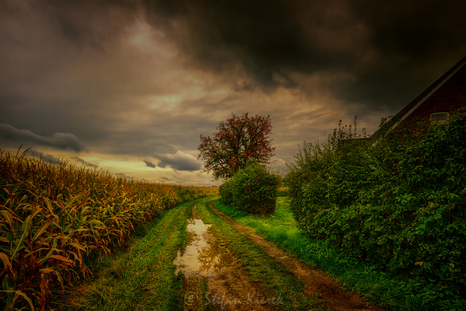 Spaziergang im Herbst