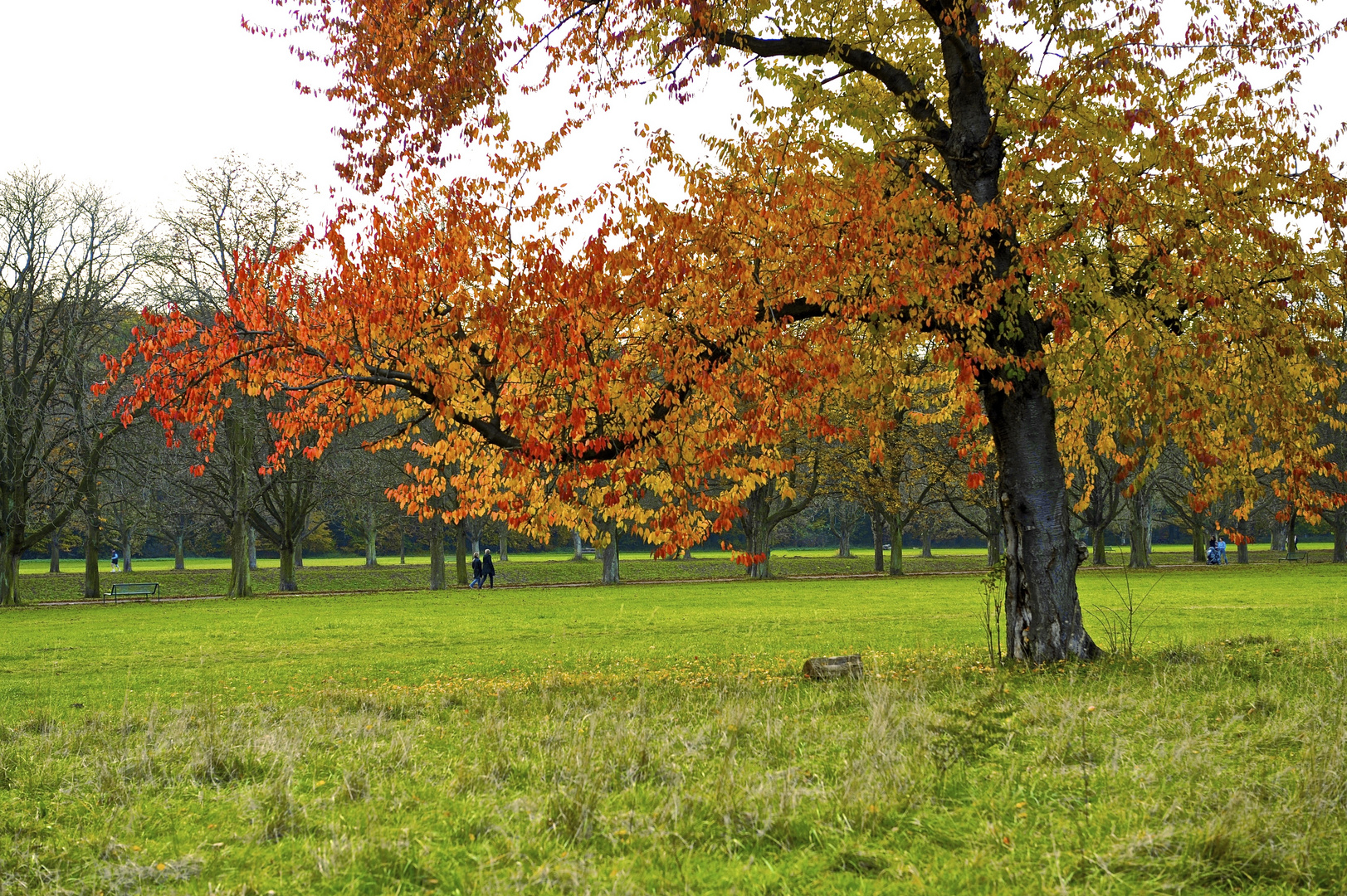 Spaziergang im Herbst