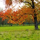 Spaziergang im Herbst