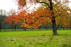 Spaziergang im Herbst