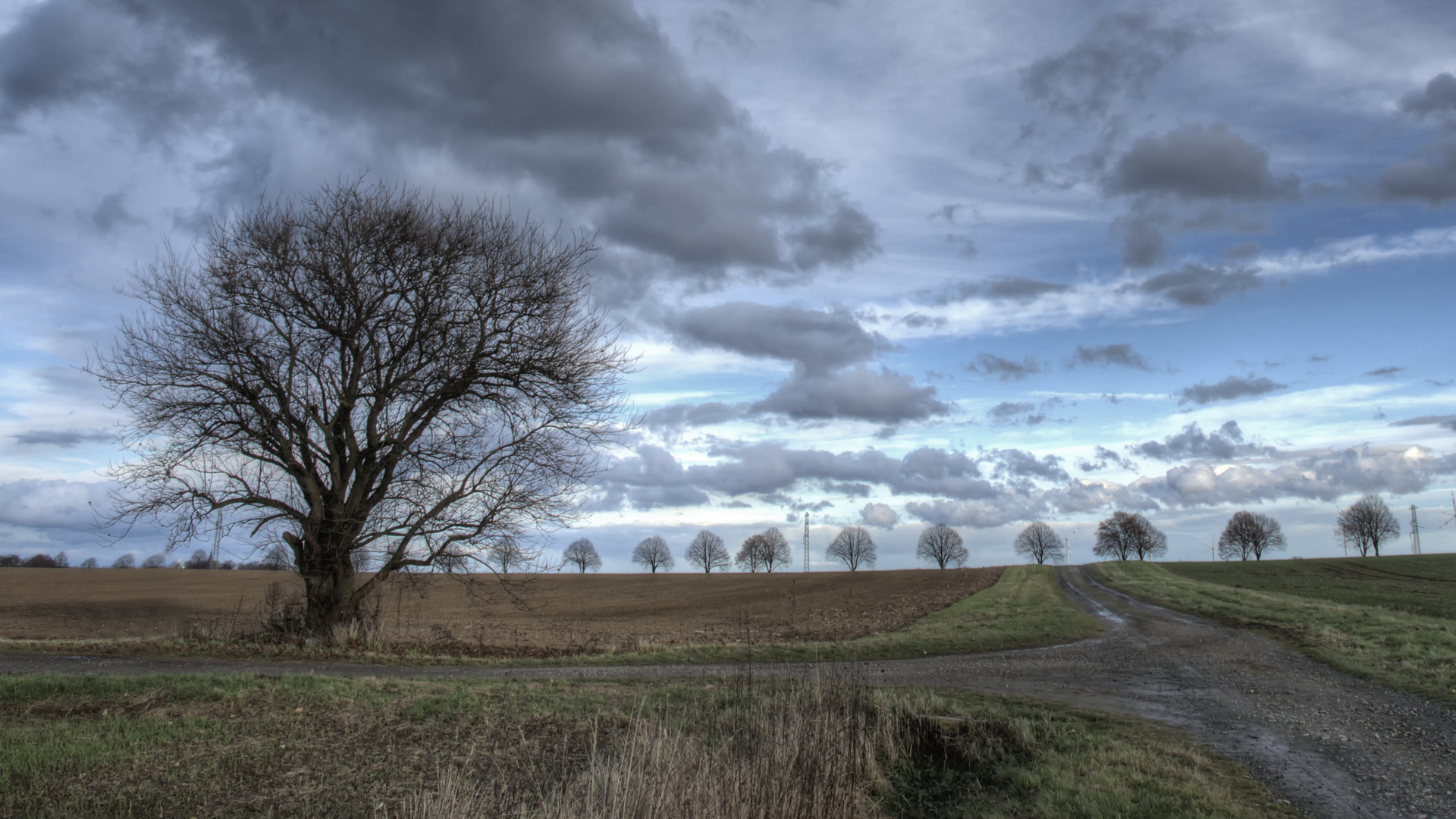 Spaziergang im Herbst #2