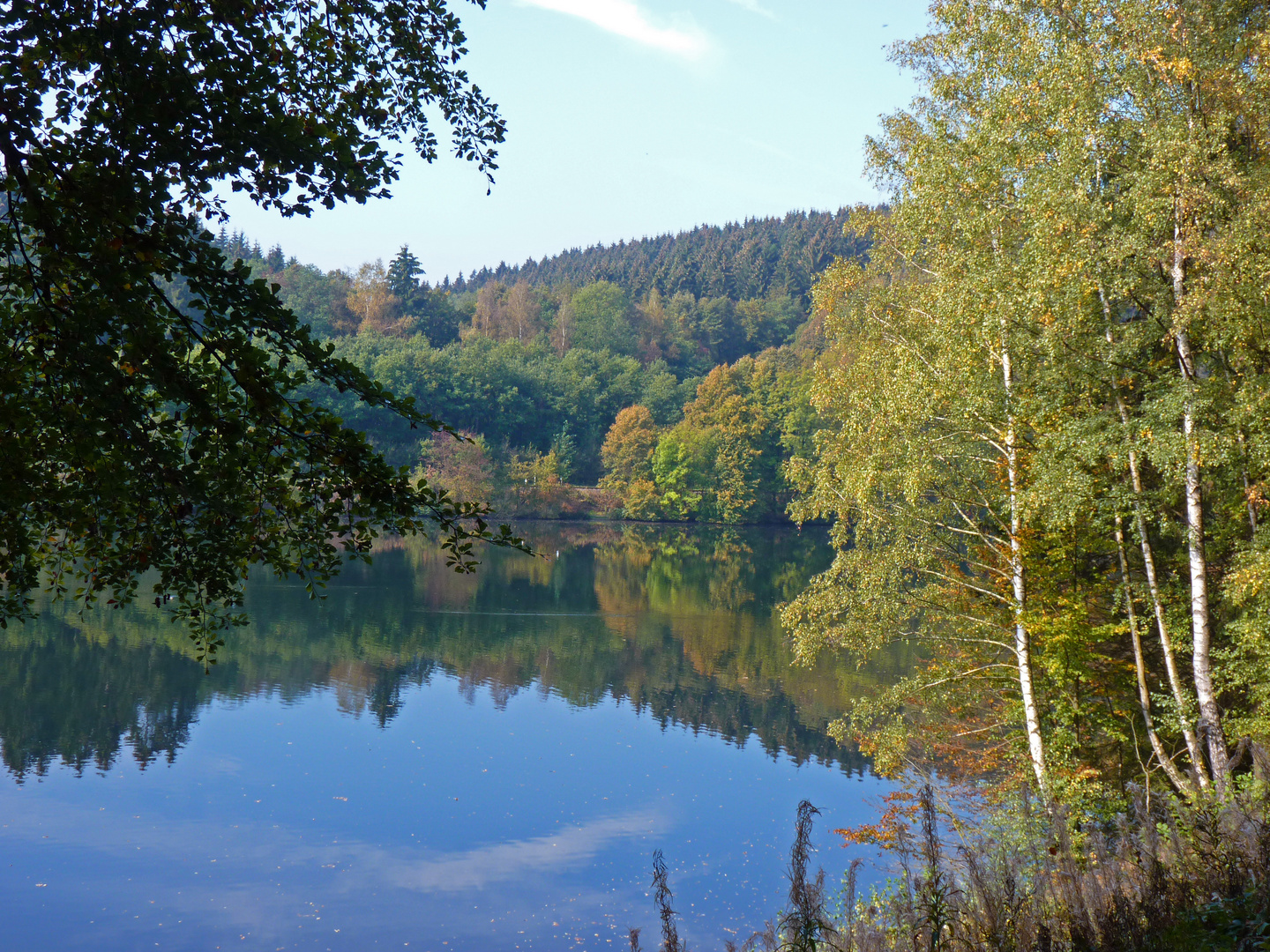 Spaziergang im Herbst 2011