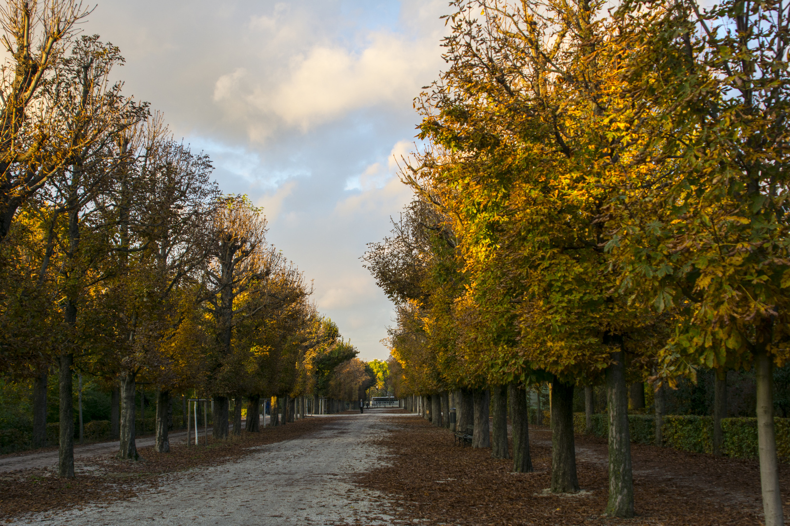 Spaziergang im Herbst 4-1