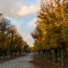 Spaziergang im Herbst 4-1