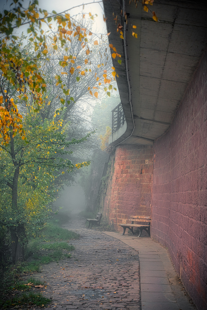 Spaziergang im Herbst