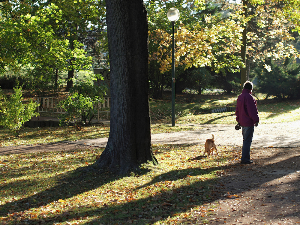 Spaziergang im Herbst