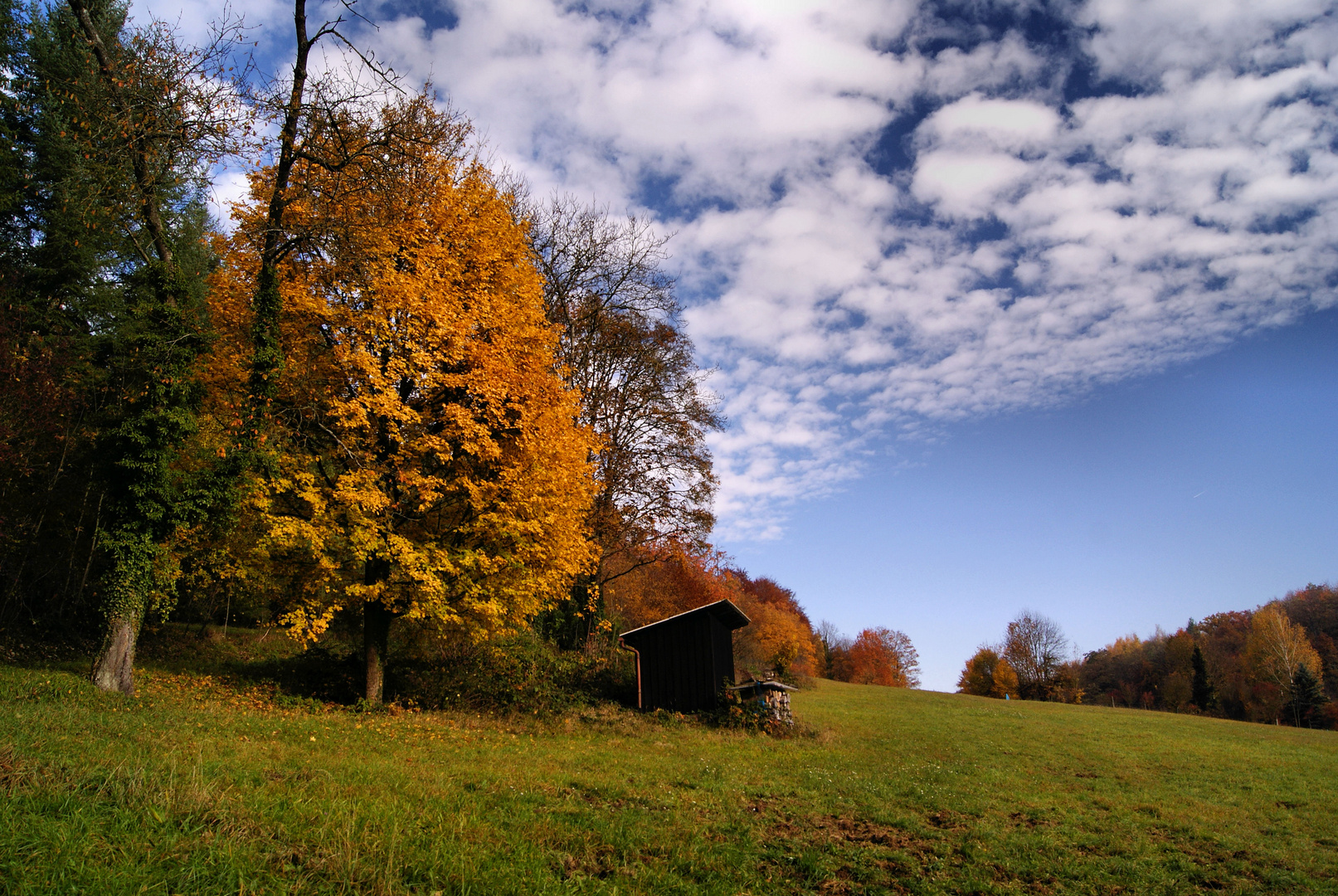 Spaziergang im Herbst...