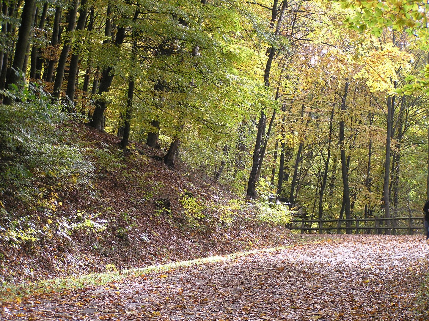 Spaziergang im Herbst