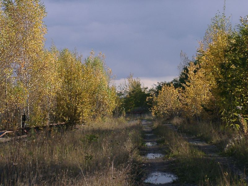 Spaziergang im Herbst