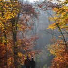 Spaziergang im Herbst